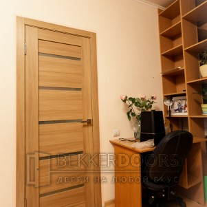 Дверь DUPLEX стекло Мателюкс в цвете Дуб золотой